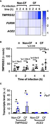 Flagellin From Pseudomonas aeruginosa Modulates SARS-CoV-2 Infectivity in Cystic Fibrosis Airway Epithelial Cells by Increasing TMPRSS2 Expression